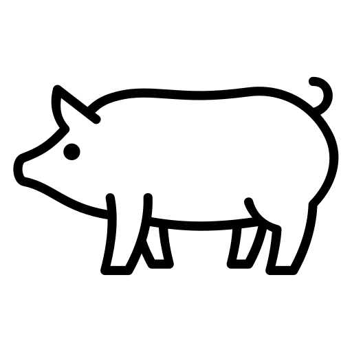 Pig